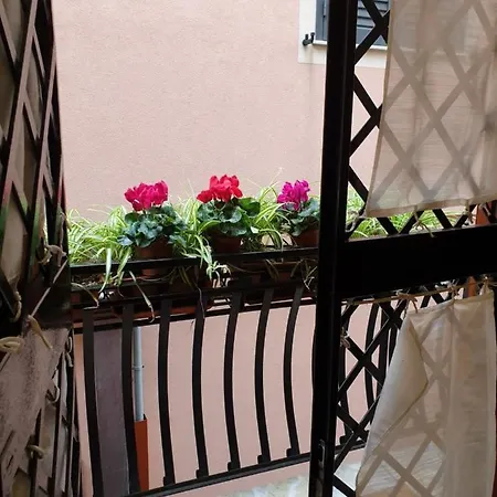 Apartment Casa Alessia *